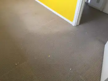 In Hooghalen tapijt gereinigd in een particuliere woning In Hooghalen tapijt gereinigd in een particuliere woning