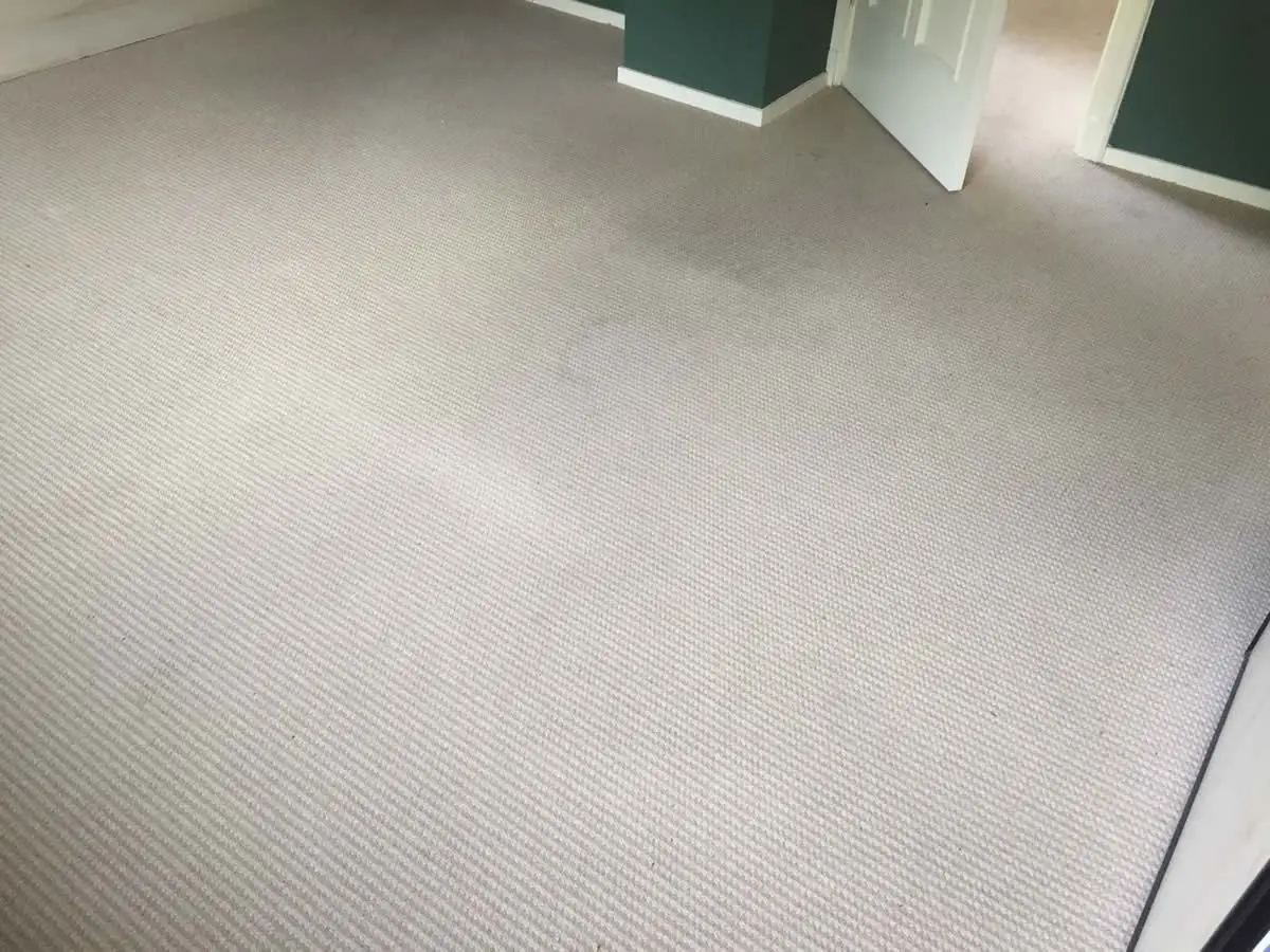In Hooghalen tapijt gereinigd in een particuliere woning In Hooghalen tapijt gereinigd in een particuliere woning