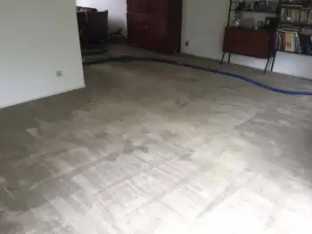Tapijt reinigen diepte- en oppervlaktereiniging in Stadskanaal Tapijt reinigen diepte- en oppervlaktereiniging in Stadskanaal