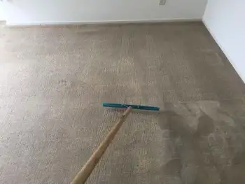 Tapijt reinigen diepte- en oppervlaktereiniging in Stadskanaal Tapijt reinigen diepte- en oppervlaktereiniging in Stadskanaal
