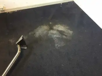 Tapijt in Gasselte Drenthe optimaal reinigen na waterschade. Snel herstel en een frisse uitstraling! Tapijt in Gasselte Drenthe optimaal reinigen na waterschade. Snel herstel en een frisse uitstraling!