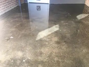 Wij kunnen een sterke en slijtvaste Coatingvloer in uw garage aanbrengen Wij kunnen een sterke en slijtvaste Coatingvloer in uw garage aanbrengen